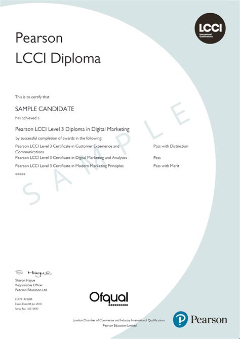 lcci level 3 download.